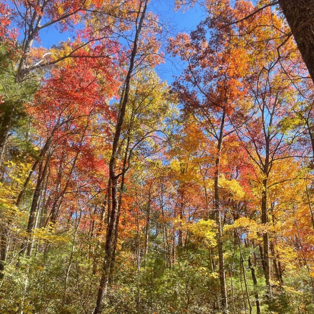 Meet your Posher, Dee